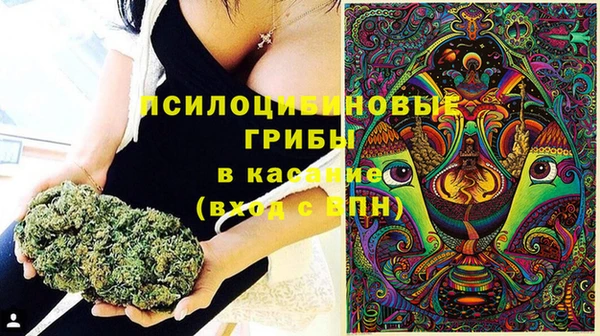не бодяженный Горнозаводск