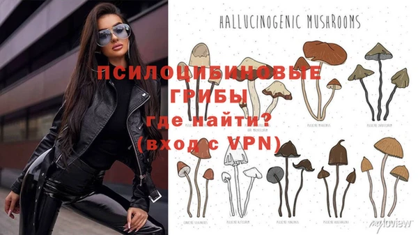 не бодяженный Горнозаводск